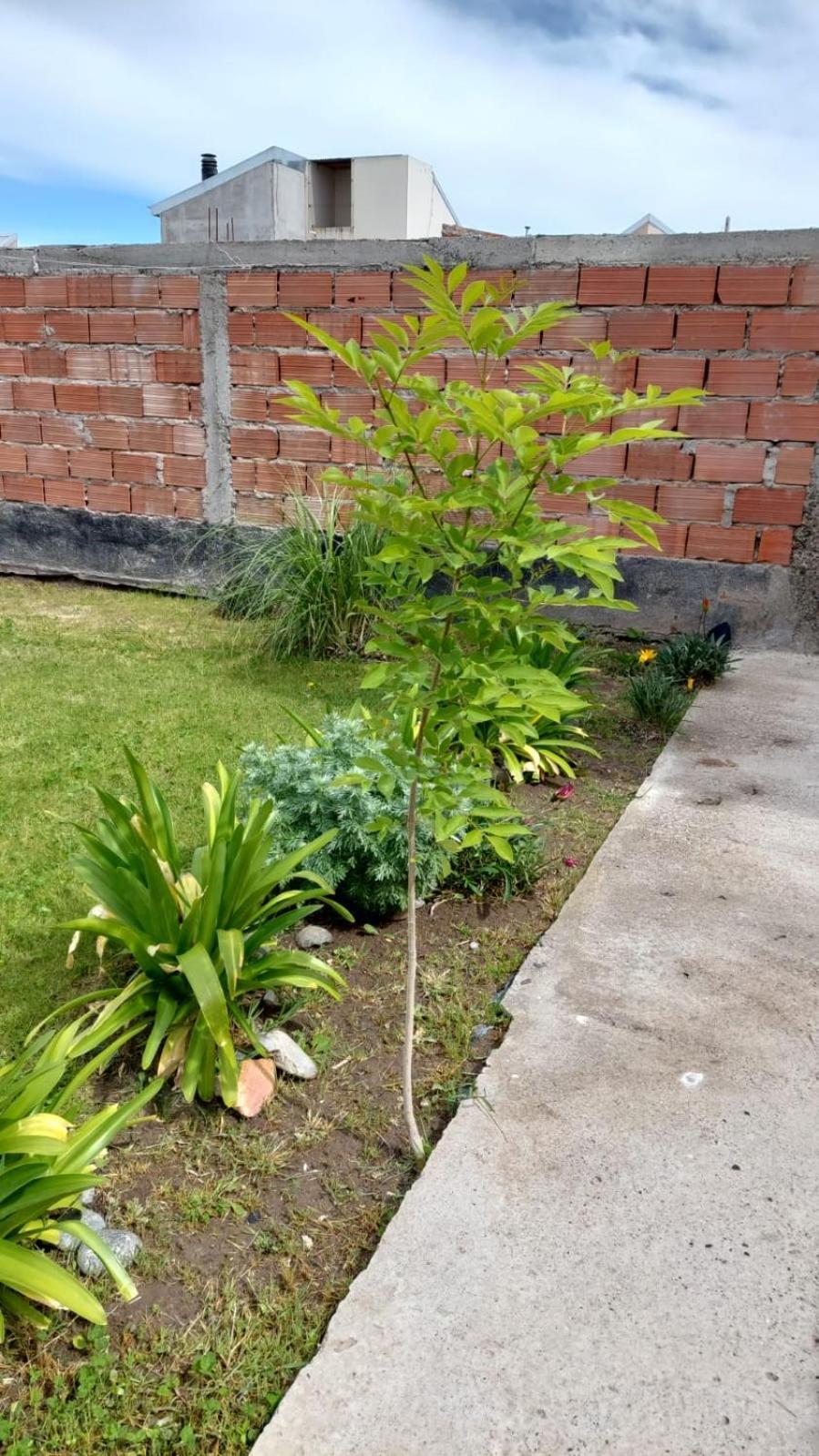 Habitacion Privada En La Casa De Thor Trelew Exteriér fotografie