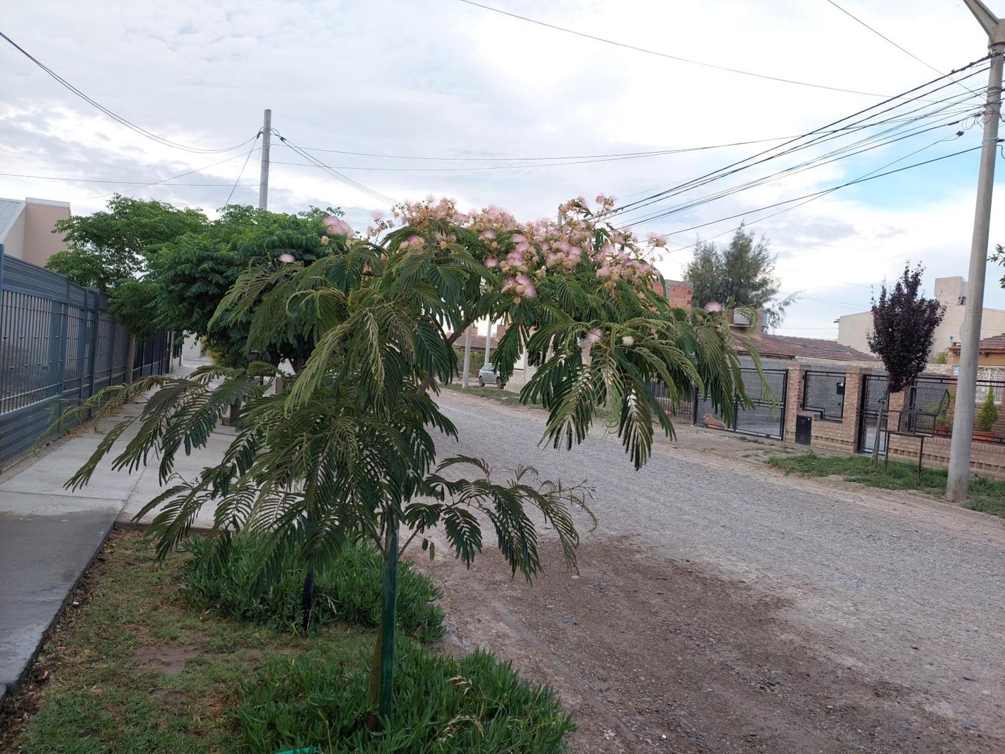 Habitacion Privada En La Casa De Thor Trelew Exteriér fotografie