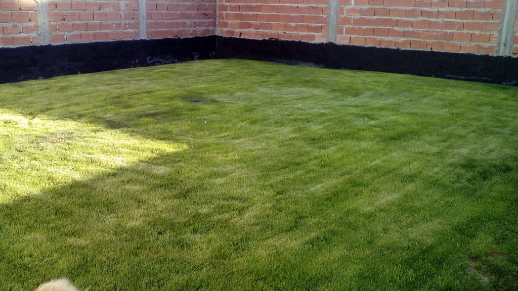 Habitacion Privada En La Casa De Thor Trelew Exteriér fotografie